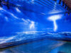 otler_sky_rain_4